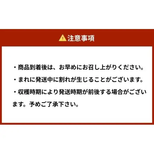 まごころ ミニトマト の 宝石箱 3.0kg (150玉前後)