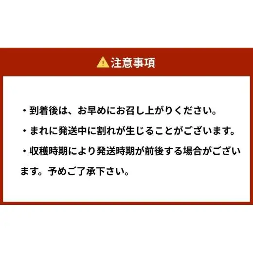 まごころ ミニトマト の宝石箱 1.7kg（約80～110玉）サンチェリーピュア