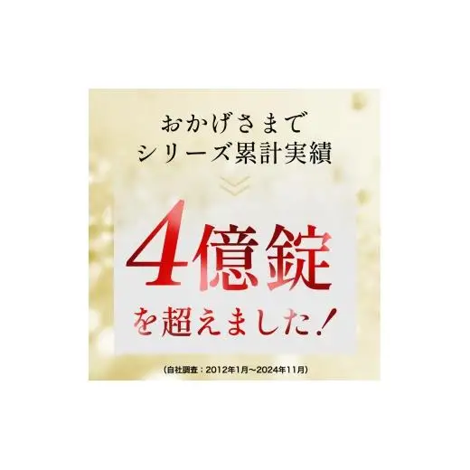 【10ヵ月定期便】【薬用 入浴剤】長湯ホットタブ Classic 90錠入
