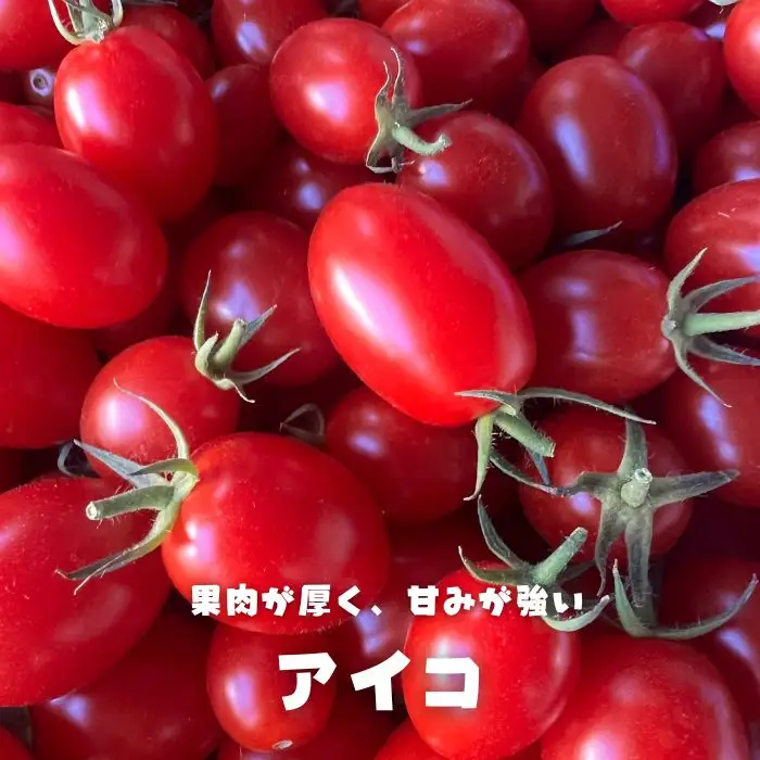 江口農園　驚くほど甘い！トマトジュース　150ml×5本　飲みきりサイズ　北海道産　食塩無添加　アイコ・シンディースイート使用