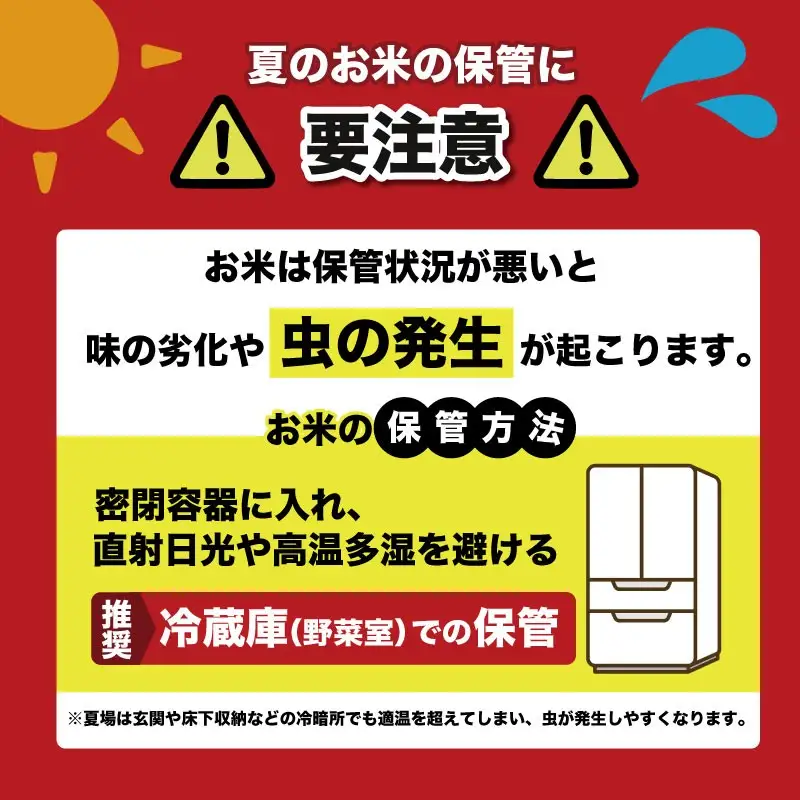 令和8年産 新米 こしひかり 5kg 6回定期便 新米