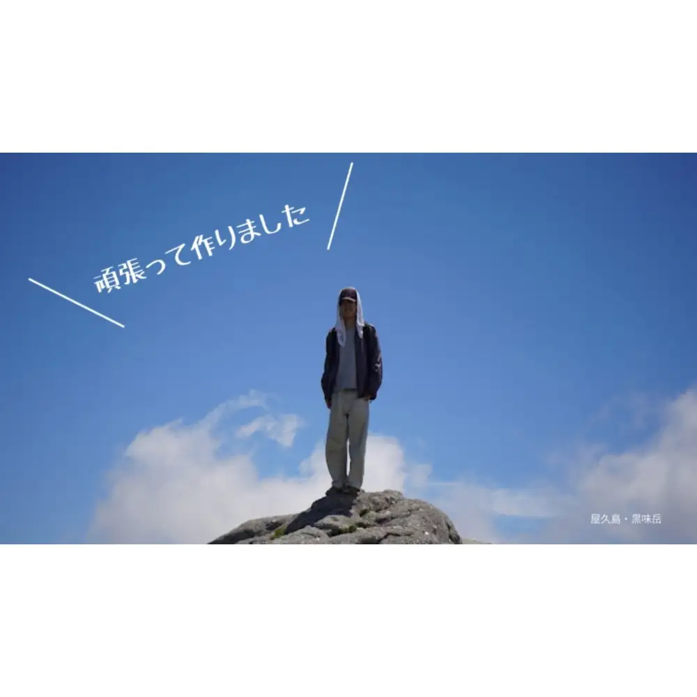 【相良パーティ】屋久島産 完熟ぽんかん 約3kg【M,Lサイズ】