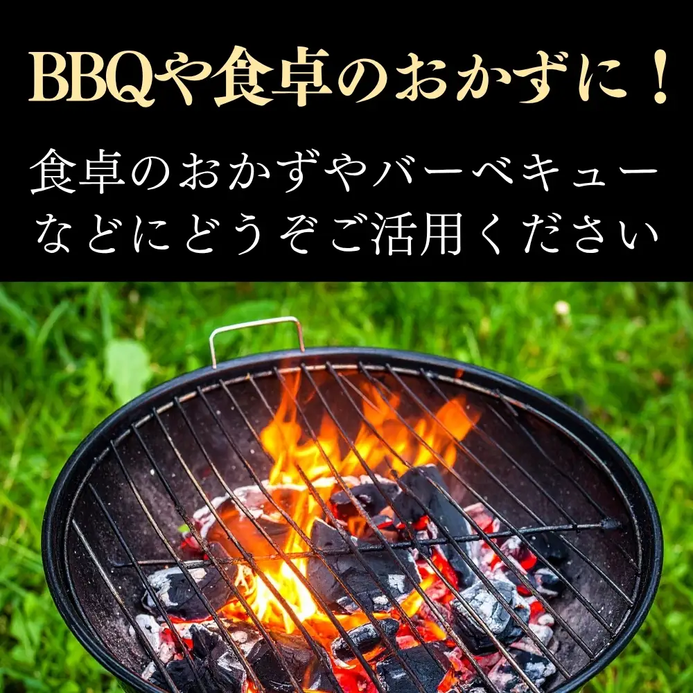 ＜選べる発送月＞【12月発送】牛タン 訳あり 業務用 薄切り 1kg（500g×2パック） 塩味 N 牛タン
