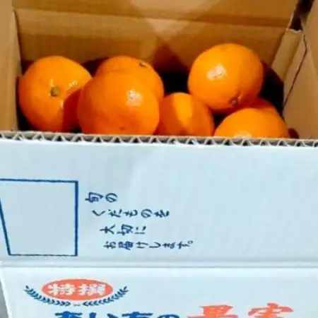 【ゆら早生】宮田農園の温州みかん　3kg【2000484】