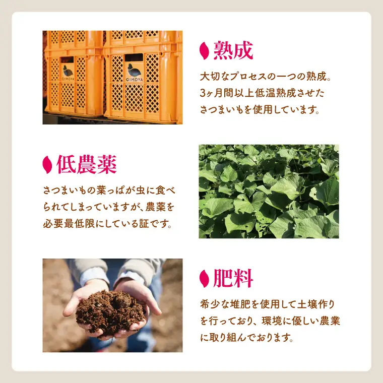 熟成 紅はるか生芋 Mサイズ 混合 5kg（IN-18)