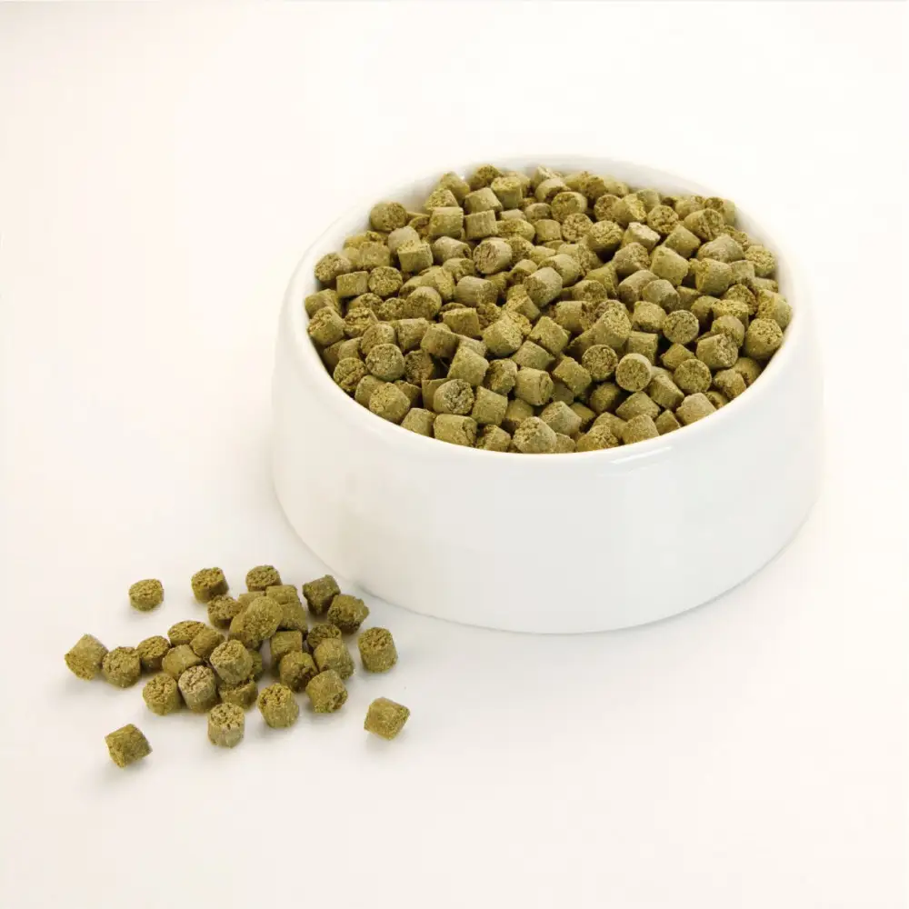 ＜１２ヶ月定期便＞　プレミアムドッグフード犬生ーけんせい－　国産総合栄養食　低アレルギー　２袋×１２回
