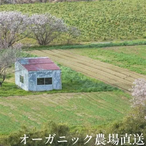 【毎月定期便】オーガニックビレッジ・有機農業の会、「有機野菜セット」(Lセット)、全12回【配送不可地域：離島・北海道・沖縄県・四国・九州】【4094426】