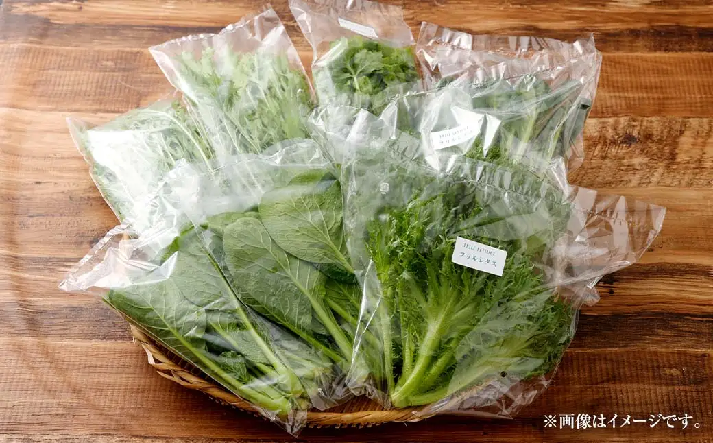 水耕 栽培 新鮮 葉物 野菜 Aセット GreensFarm ホタル サラダ 和え物 M06S22【2026年11月上旬～2027年6月上旬発送予定】