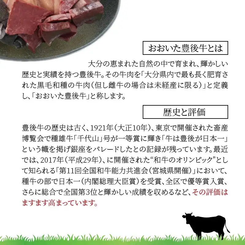 おおいた豊後牛ミックスホルモン800ｇ _1617R