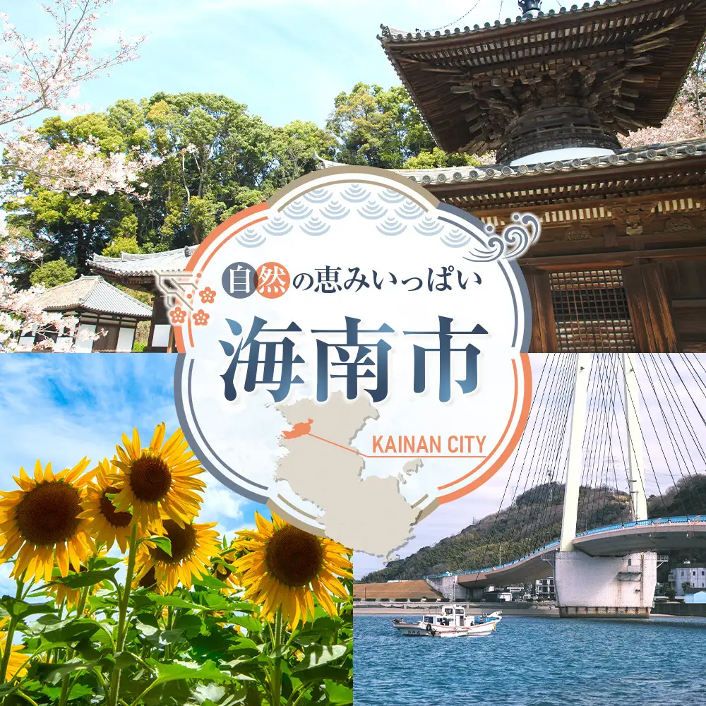 キウイ 2kg＋500g 訳あり 混合サイズ 和歌山県海南市 まごころ産直みかんより2026年11月中旬より発送　※北海道・沖縄・離島へのお届け不可