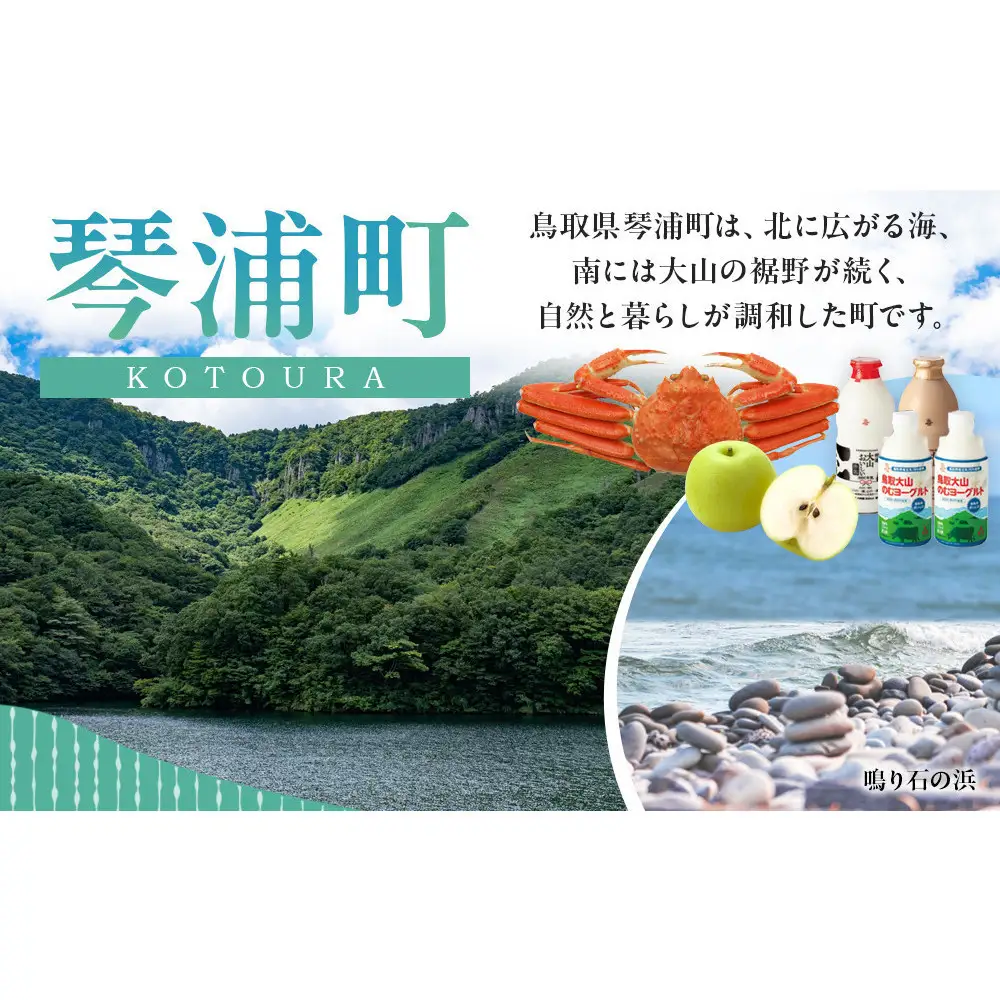 訳あり　琴浦町産シャインマスカット（粒パック）1kg（500g×2）