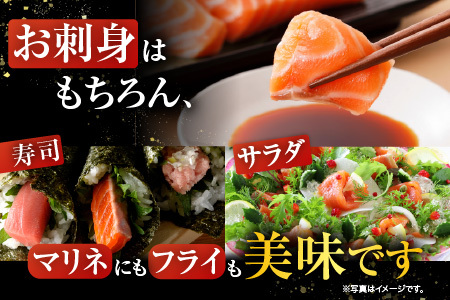 根室海鮮市場[直送]お刺身トラウトサーモン約300～400g×2P A-28130