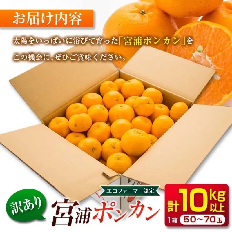 年内発送 訳あり 宮浦 ポンカン 10kg 先行予約 フルーツ_CD105-26