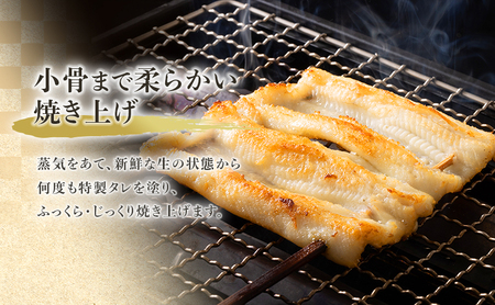 穴子 先行予約 山銀商店 白焼き あなご (合計約300g) 
