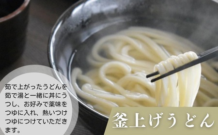讃岐うどん 半生 太麺 紀州屋 香川県産 讃岐うどん【30人前(3人前×10袋)】