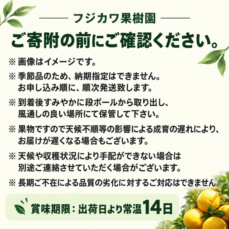甘夏柑 低温貯蔵 約10kg みかん 香川県産 国産 柑橘 フリーサイズ M～L フジカワ果樹園 藤川果樹園 果実 中晩柑 柑橘類 フルーツ 果物 くだもの 蜜柑 ミカン マーマレード ギフト 贈り物 贈答用 手土産 お取り寄せ 香川県 観音寺市