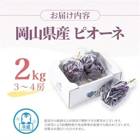 岡山県産　ピオーネ2kg箱(3～4房)_果物・フルーツ ぶどう・マスカット  ブドウ 葡萄 _【配送不可地域：離島】【1112963】