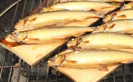 松田川産天然アユ800g 魚