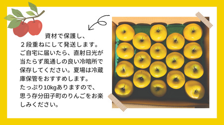 【訳あり】青森りんご田子の家庭用シナノゴールド 約10kg （1月出荷）