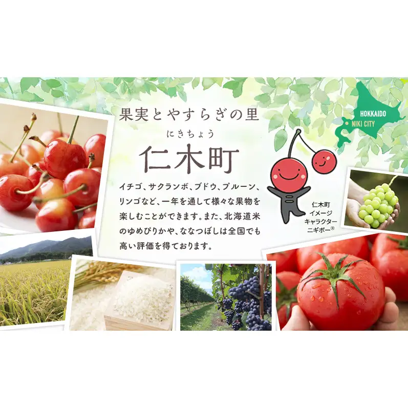 トマトジュース もてもてネ JA新おたる 北海道産 トマトジュース【1L×3本】