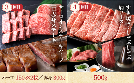 定期便 飛騨牛 4回 食べ比べ 牛肉  [S091_re] 定期便