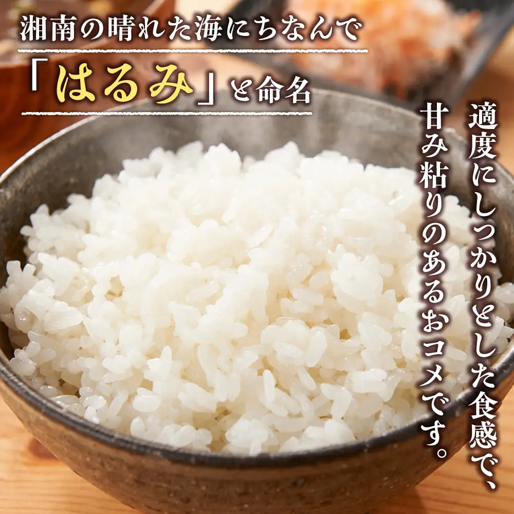 志村屋米穀店 令和7年産小田原市産　はるみ　10kg（5kgｘ2）｜お米 ご飯 神奈川県 小田原市