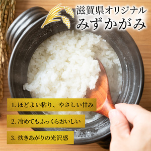 お米 みずかがみ 5kg BG無洗米 近江米 お米