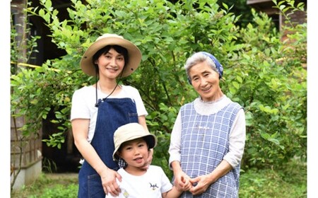 【季節限定】農薬・化学肥料不使用！愛情と栄養たっぷり冷凍ブルーベリー（1kg） 南小国産 冷凍 ブルーベリー 1kg 摘み立て 生 果物 新鮮 フレッシュ 小分け 農薬不使用 化学肥料不使用 産地直送 さこんうえの蛙 熊本 阿蘇 南小国町 送料無料