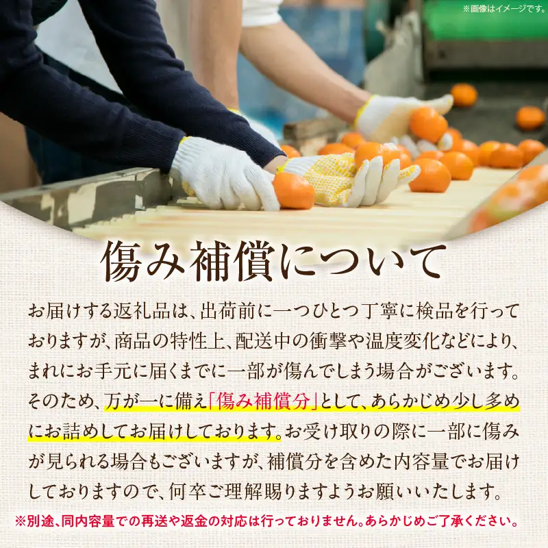 糖度16度以上 完熟 きんかん たまたま 計1kg以上 傷み補償分入り_BAV15-26