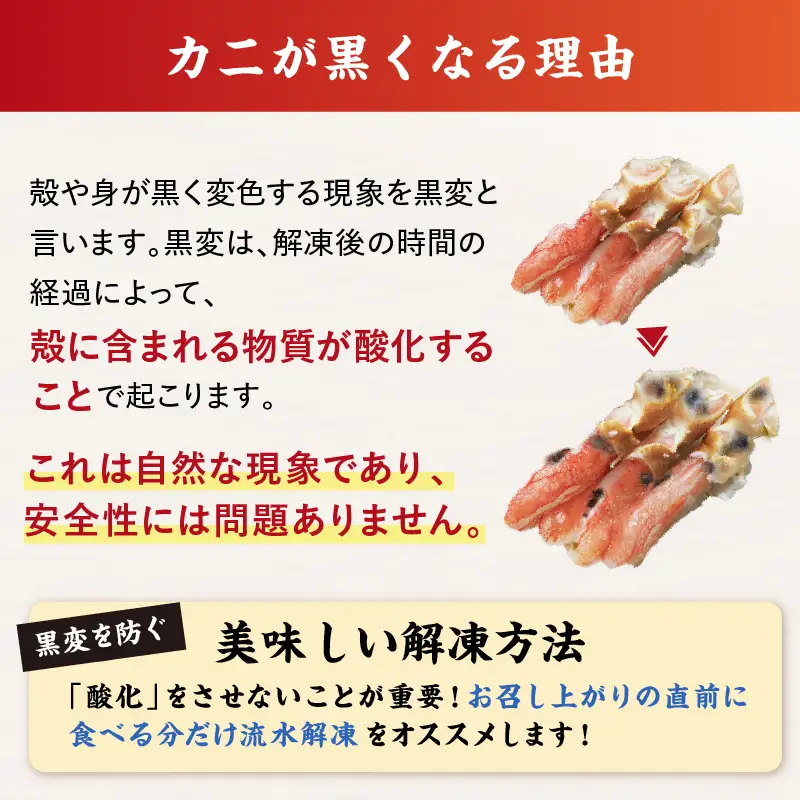 北見市加工 生冷本ズワイガニセット 800g 昆布入 ( 海鮮 魚介類 魚介 蟹 かに カニ セット 鍋 カニ鍋 カニ爪 ズワイガニ かにしゃぶ カット済 贈答 ギフト 熨斗 のし ふるさと納税 )【094-0080】