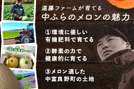 【2026年発送】【特大】遠藤ファームの中富良野メロン2玉（計4kg以上）【AX-001】