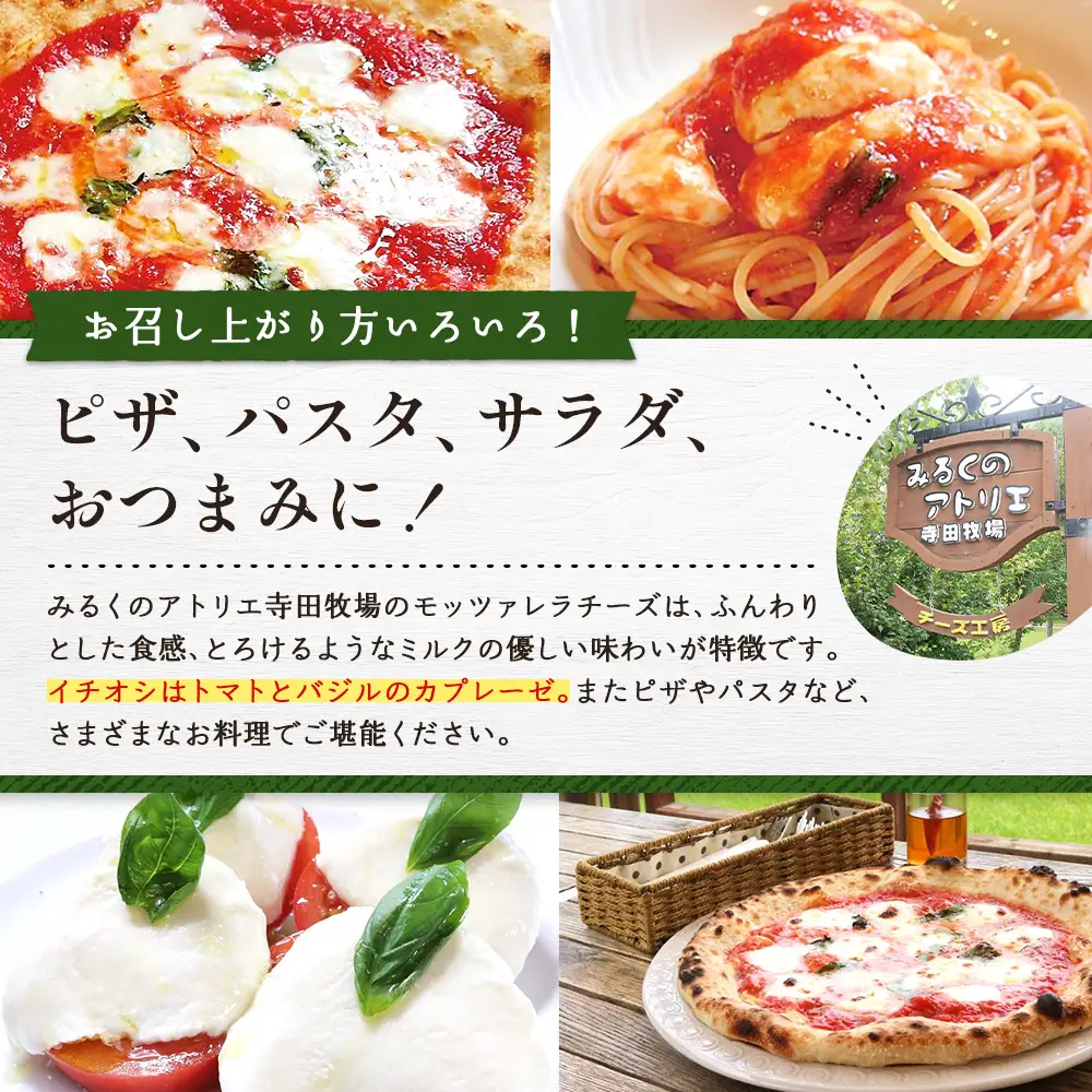 モッツァレラチーズ6個入セット【15000102】