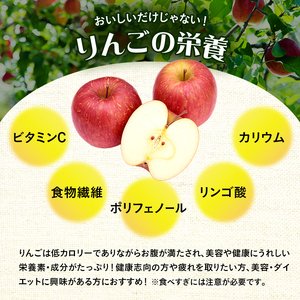 【訳あり】りんご 青森 サンふじ 約 10kg (28～36玉) リンゴ サイキチ農園 青森県 鰺ヶ沢町産 フルーツ 果物 不揃い 傷 林檎 サンフジ ふじ
