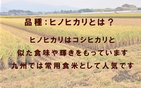 CQ010_ビーガン米20㎏　白米 【植物性で育てた完全無農薬のサガンベジブランド】