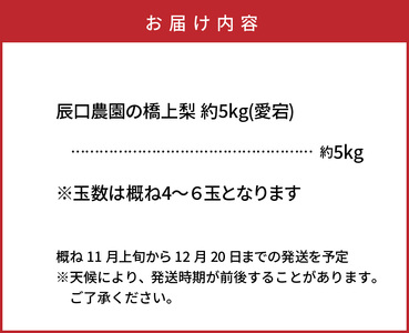 【先行予約】令和8年発送 /辰口農園の橋上梨約5kg(品種:愛宕)_1303R