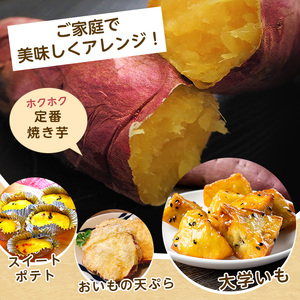 さつまいも 訳あり 3種 約10kg 紅はるか シルクスイート 安納芋 サツマイモ IB084-009