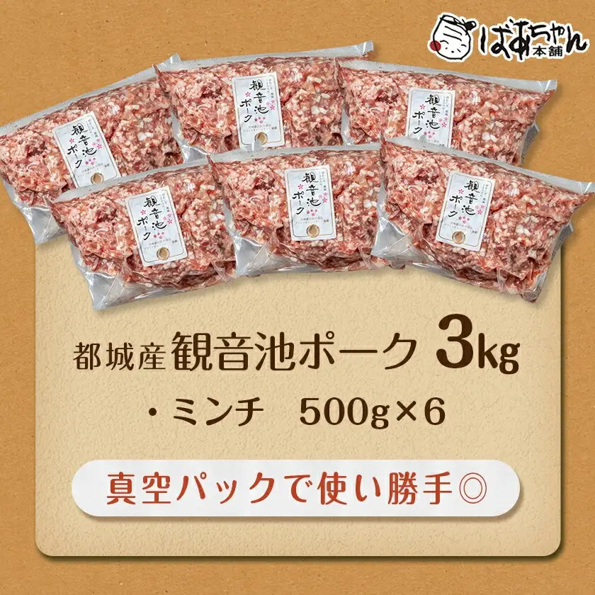 観音池ポーク100％ミンチ3kg(真空)〔13-1504〕 _ (都城市) 銘柄豚肉 500g×6パック 冷凍 ブランドポーク 国産