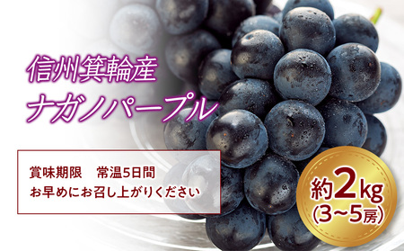 ナガノパープル 2kg 3～5房 ぶどう ナガノパープル