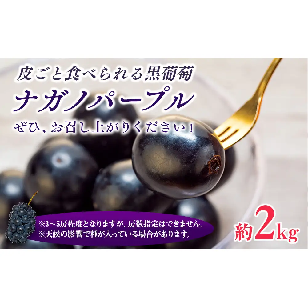 ナガノパープル 期間限定 ぶどう 約2kg フルーツ  クレジット限定 ナガノパープル