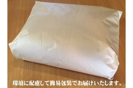 【浅井ふとん店】ちょい寝座布団［松帆どう太くん］/オレンジ