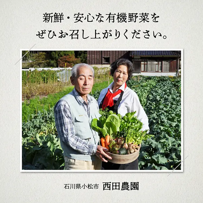 有機野菜 定期便 3ヶ月 有機野菜