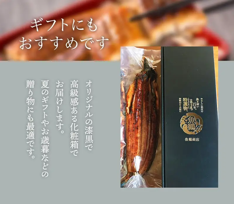 うなぎ 国産 うなぎ蒲焼き 約170g×2尾【uot302A-3】