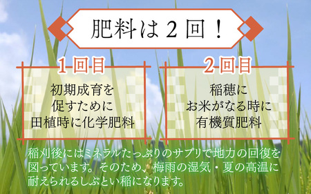 令和7年度産 特別栽培米 コシヒカリ 4kg 南越前町