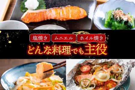 天然沖獲れ鮭1切×10P(約1kg) B-14062