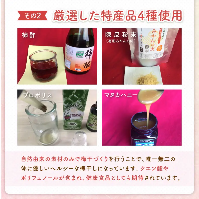 【0585-3】白山農園　梅博士のDR.UME(登録商標)