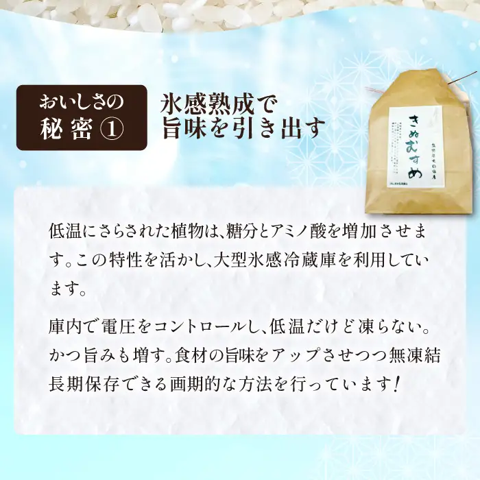 「きぬむすめ」（精米5kg）とご飯のおとも「石見銀山和牛しぐれ」【お米 5kg きぬむすめ 島根県 精米 和牛しぐれ 50g 島根県産 大田市産 米 肉 牛肉 和牛 セット】