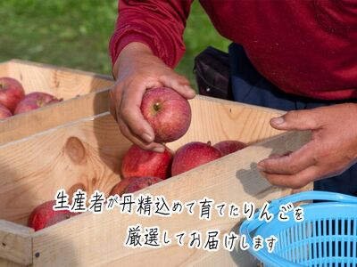 りんご サンふじ ヒバリノ園 青森県産 りんご【約5kg(14～18玉)】
