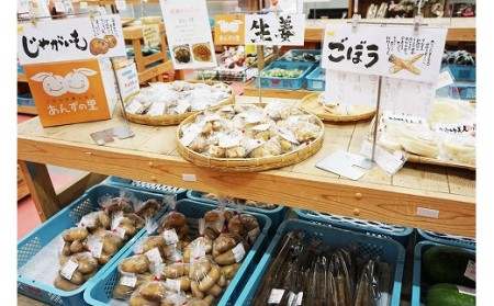 【3ヶ月定期便】穫れたて!夏野菜・果物定期便（6～8月）★あんずの里[H7006]
