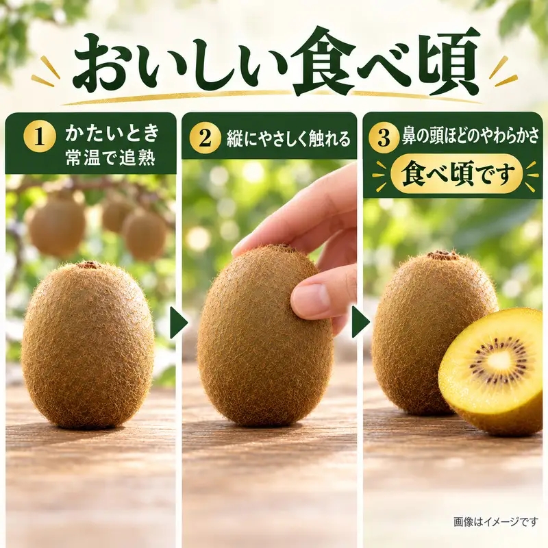 香川県オリジナルキウイ「さぬきゴールド」大玉約1.2kg　果実 甘い 讃岐 くだもの ジューシー フルーツ 果物詰合せ
