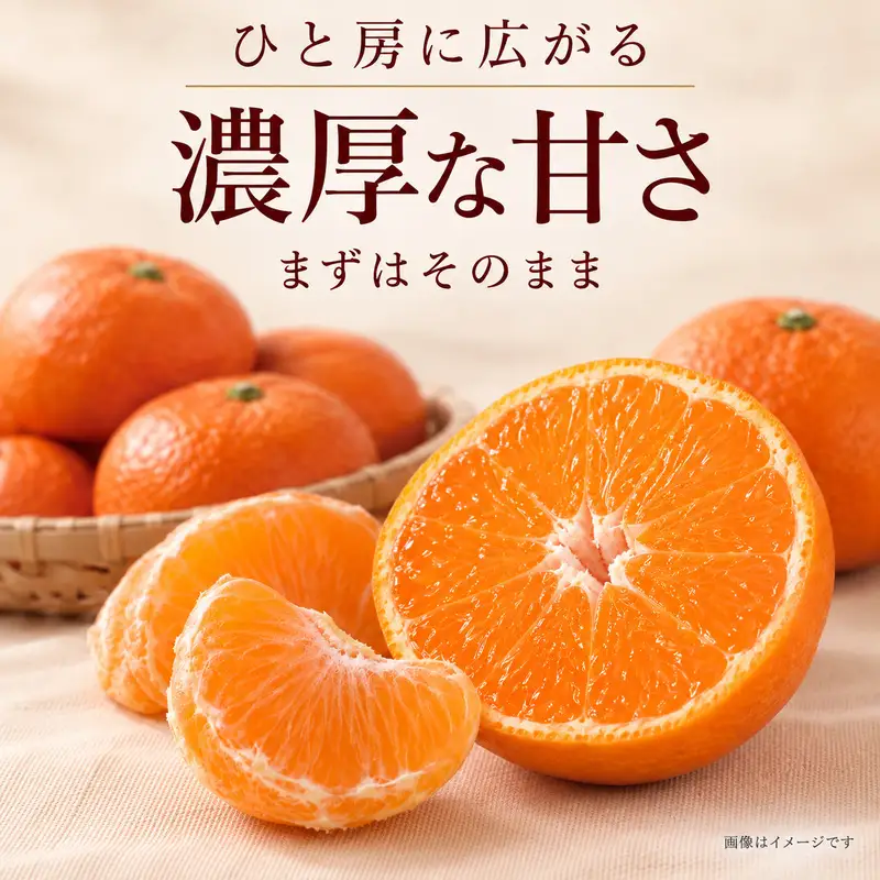小原紅早生みかん「金時紅」約3kg  ミカン 柑橘 糖度11度 甘い 果物類 柑橘類 フルーツ 蜜柑 くだもの